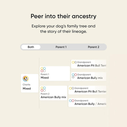 Breed & Health Kit - Dog DNA Testing Kit - Discover Breed, Ancestry, Relative Finder, Genetic Health, Traits, Allergy Risk Scores
