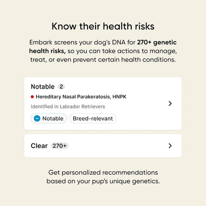 Breed & Health Kit - Dog DNA Testing Kit - Discover Breed, Ancestry, Relative Finder, Genetic Health, Traits, Allergy Risk Scores