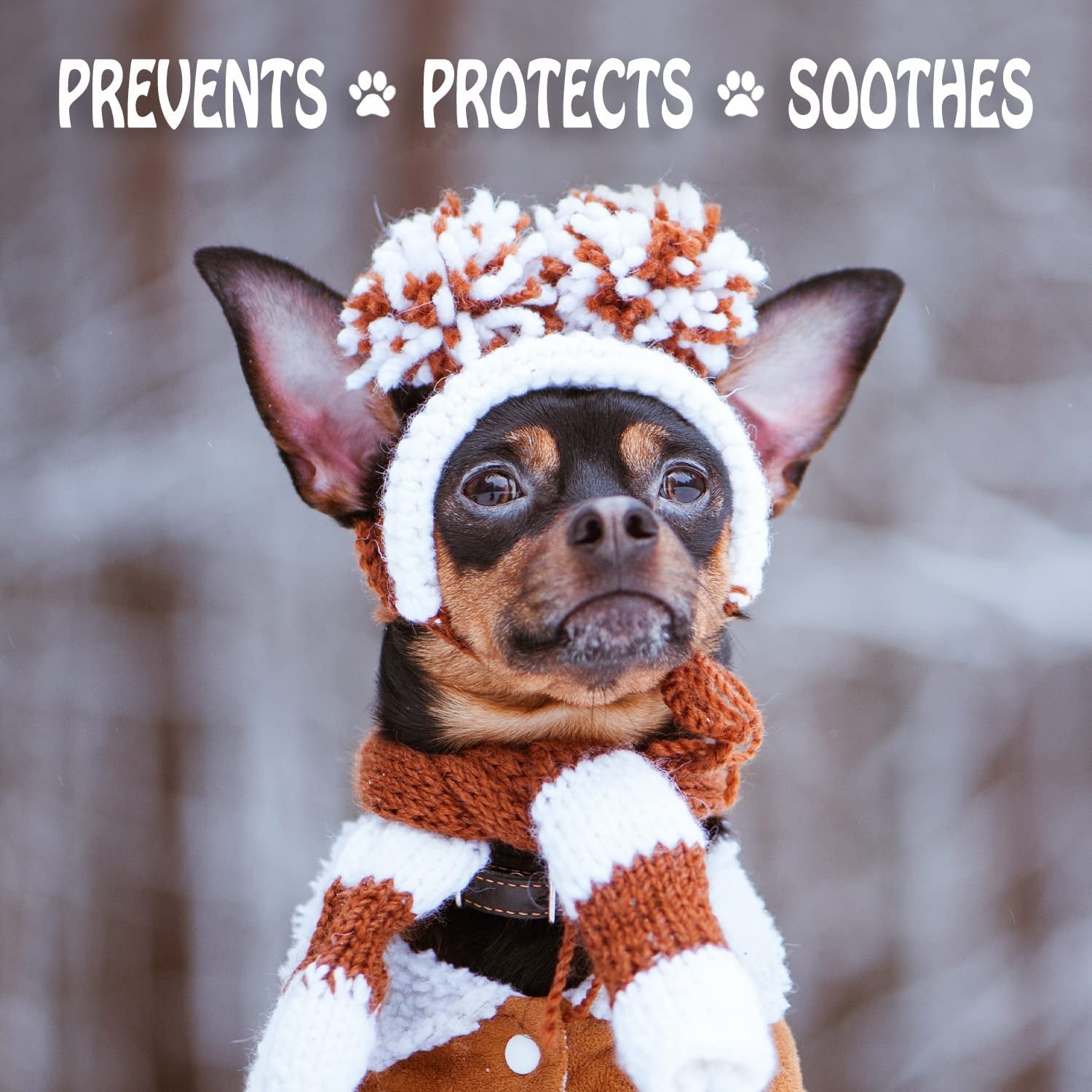 Dog Paw Wax 200 G (7Oz) - Moisturizing Dog Paw Balm That Creates an Invisible Barrier That Protects and Heals Dry Cracked Paws - All-Natural with Vitamin E and Food-Grade Ingredients