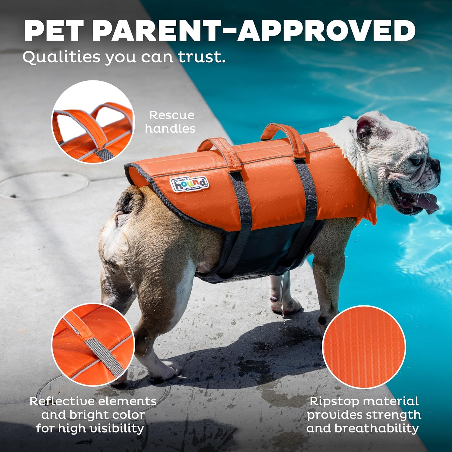 Granby Splash Dog Life Jacket, High-Buoyancy Dog Life Vest for Swimming, Boating, and Water Safety, Medium, Orange