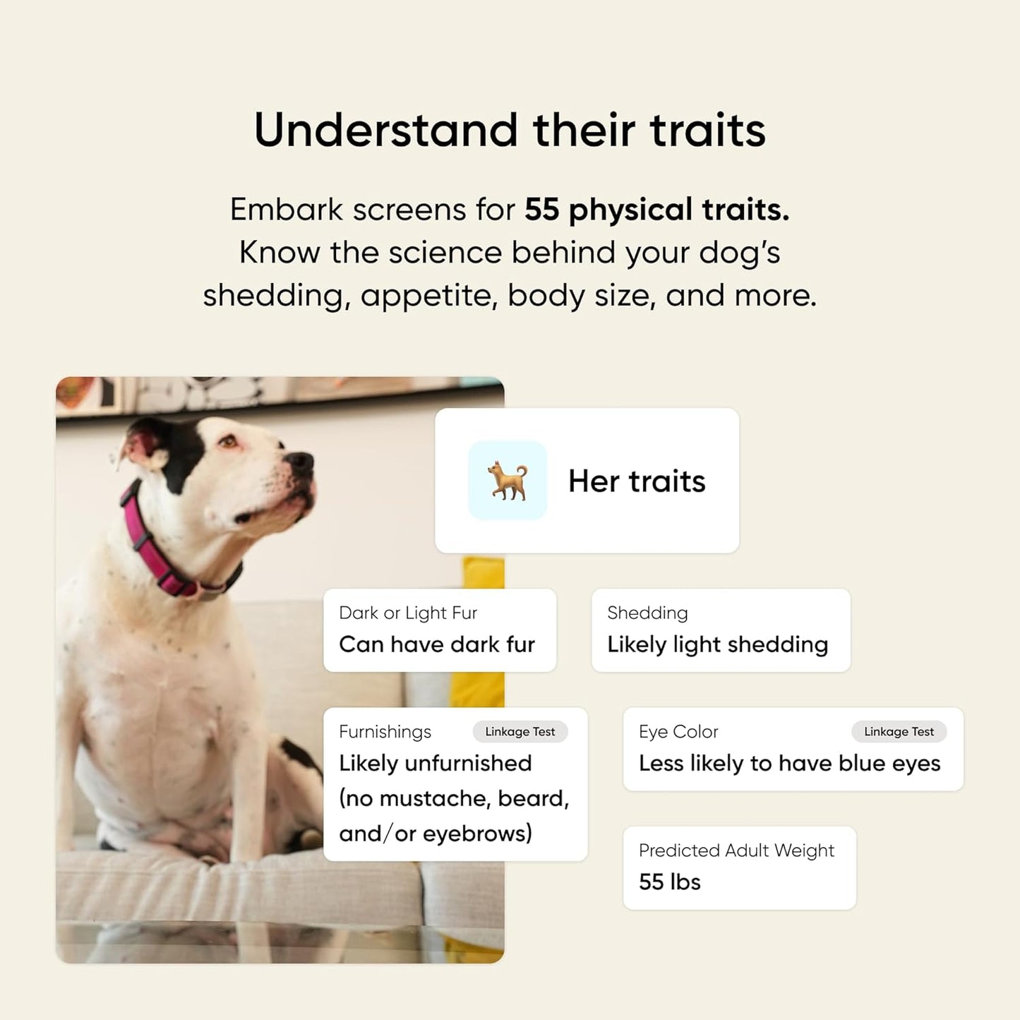 Breed & Health Kit - Dog DNA Testing Kit - Discover Breed, Ancestry, Relative Finder, Genetic Health, Traits, Allergy Risk Scores
