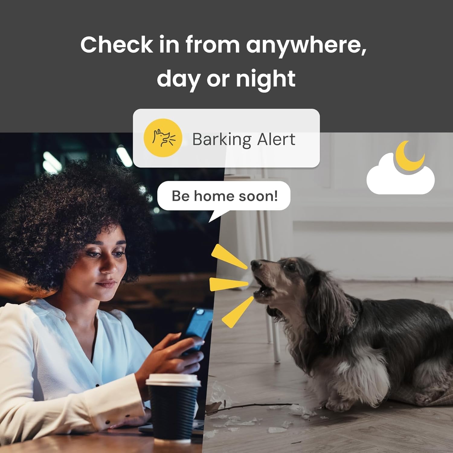 360° Dog Camera: Pet Security Cam W/Barking Alerts, Rotating View, Treat Toss W/Phone App, Smart Home Puppy Monitoring, 2-Way Speaker, No Subscription Needed. Standard See, Talk, & Toss Features
